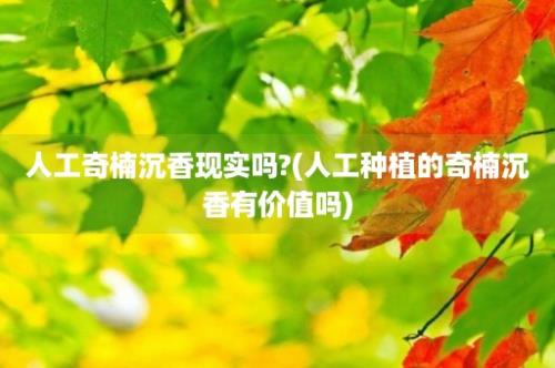 人工奇楠沉香现实吗?(人工种植的奇楠沉香有价值吗)