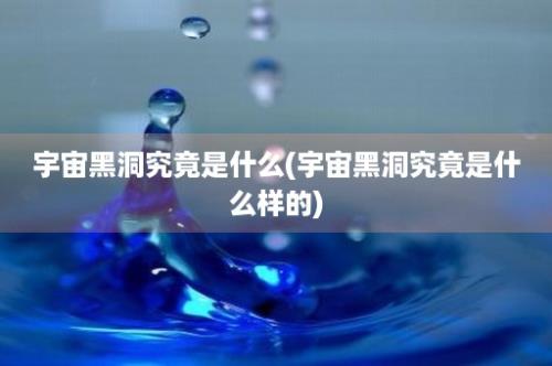 宇宙黑洞究竟是什么(宇宙黑洞究竟是什么样的)