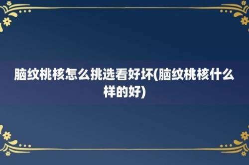 脑纹桃核怎么挑选看好坏(脑纹桃核什么样的好)