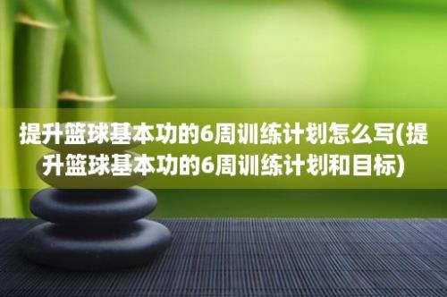 提升篮球基本功的6周训练计划怎么写(提升篮球基本功的6周训练计划和目标)