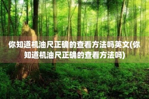 你知道机油尺正确的查看方法吗英文(你知道机油尺正确的查看方法吗)