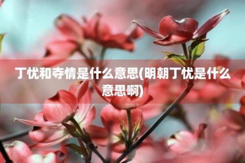 丁忧和夺情是什么意思(明朝丁忧是什么意思啊)