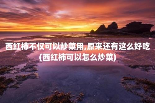 西红柿不仅可以炒菜用,原来还有这么好吃(西红柿可以怎么炒菜)