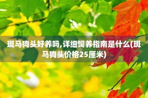 斑马狗头好养吗,详细饲养指南是什么(斑马狗头价格25厘米)