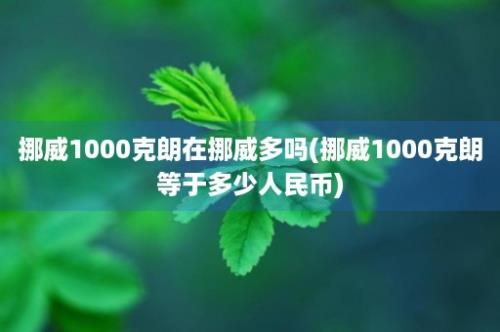 挪威1000克朗在挪威多吗(挪威1000克朗等于多少人民币)