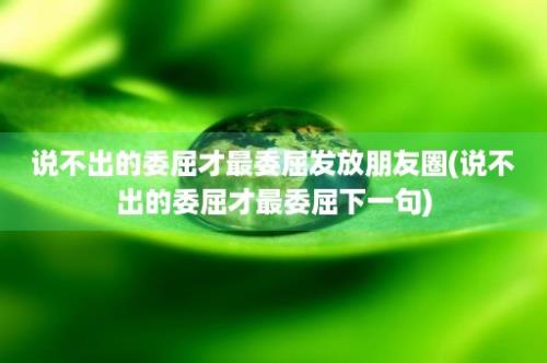 说不出的委屈才最委屈发放朋友圈(说不出的委屈才最委屈下一句)