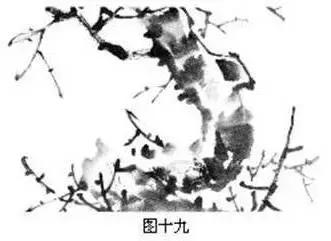 国画初学者入门步骤画梅花（大家一起学学国画梅花的各种画法）(16)