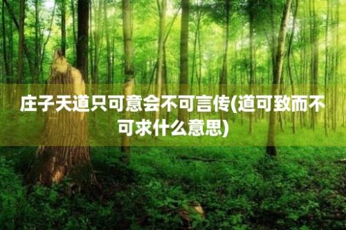 庄子天道只可意会不可言传(道可致而不可求什么意思)