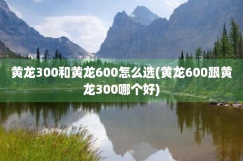 黄龙300和黄龙600怎么选(黄龙600跟黄龙300哪个好)