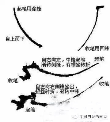 国画初学者入门步骤画梅花（大家一起学学国画梅花的各种画法）(9)