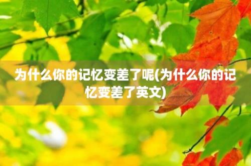 为什么你的记忆变差了呢(为什么你的记忆变差了英文)