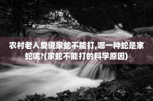 农村老人爱说家蛇不能打,哪一种蛇是家蛇呢?(家蛇不能打的科学原因)