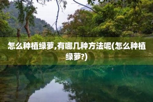 怎么种植绿萝,有哪几种方法呢(怎么种植绿萝?)