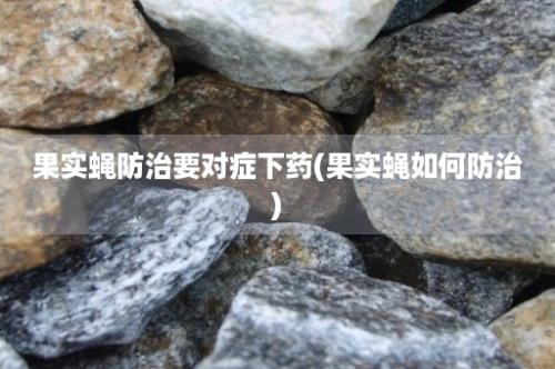 果实蝇防治要对症下药(果实蝇如何防治)