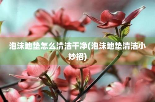 泡沫地垫怎么清洁干净(泡沫地垫清洁小妙招)