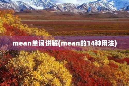 mean单词讲解(mean的14种用法)