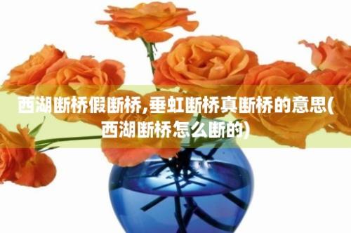 西湖断桥假断桥,垂虹断桥真断桥的意思(西湖断桥怎么断的)