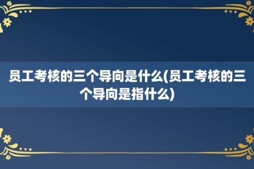 员工考核的三个导向是什么(员工考核的三个导向是指什么)