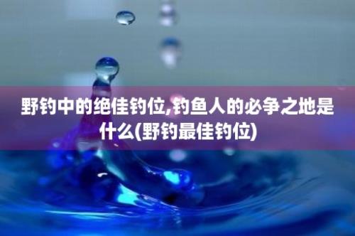 野钓中的绝佳钓位,钓鱼人的必争之地是什么(野钓最佳钓位)