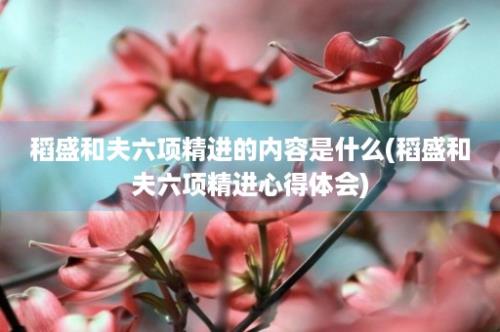 稻盛和夫六项精进的内容是什么(稻盛和夫六项精进心得体会)