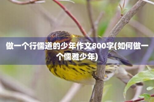 做一个行儒道的少年作文800字(如何做一个儒雅少年)