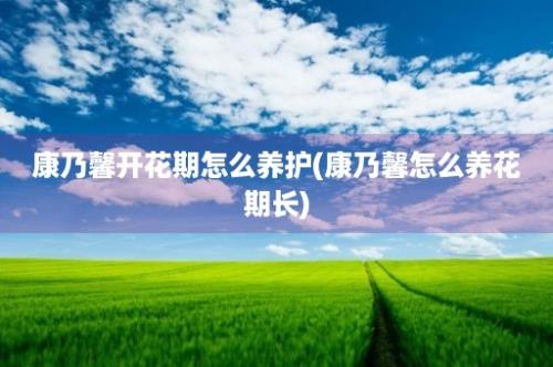 康乃馨开花期怎么养护(康乃馨怎么养花期长)