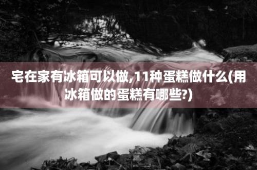 宅在家有冰箱可以做,11种蛋糕做什么(用冰箱做的蛋糕有哪些?)