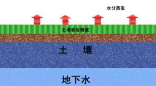 种植优质柑橘，先搞清楚果园土壤是否达标！教你如何改良土壤