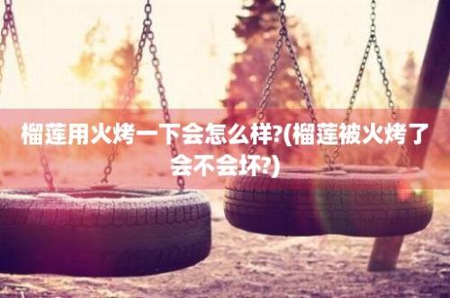 榴莲用火烤一下会怎么样?(榴莲被火烤了会不会坏?)