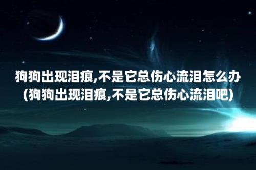 狗狗出现泪痕,不是它总伤心流泪怎么办(狗狗出现泪痕,不是它总伤心流泪吧)