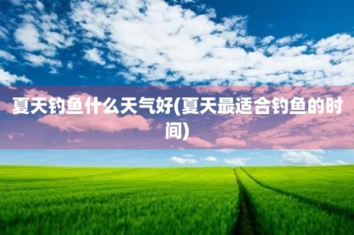 夏天钓鱼什么天气好(夏天最适合钓鱼的时间)