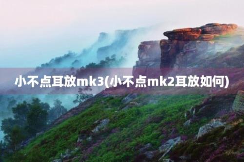 小不点耳放mk3(小不点mk2耳放如何)