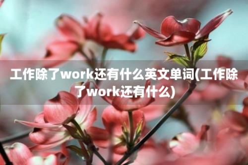 工作除了work还有什么英文单词(工作除了work还有什么)