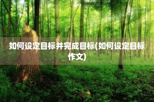 如何设定目标并完成目标(如何设定目标作文)