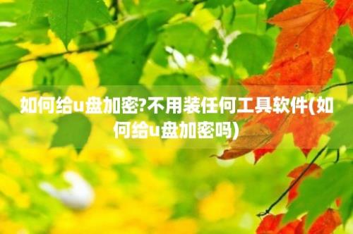 如何给u盘加密?不用装任何工具软件(如何给u盘加密吗)