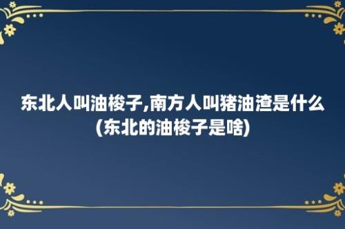 东北人叫油梭子,南方人叫猪油渣是什么(东北的油梭子是啥)