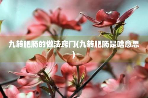 九转肥肠的做法窍门(九转肥肠是啥意思)