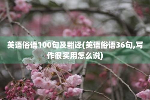 英语俗语100句及翻译(英语俗语36句,写作很实用怎么说)