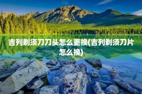 吉列剃须刀刀头怎么更换(吉列剃须刀片怎么换)