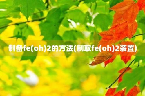 制备fe(oh)2的方法(制取fe(oh)2装置)