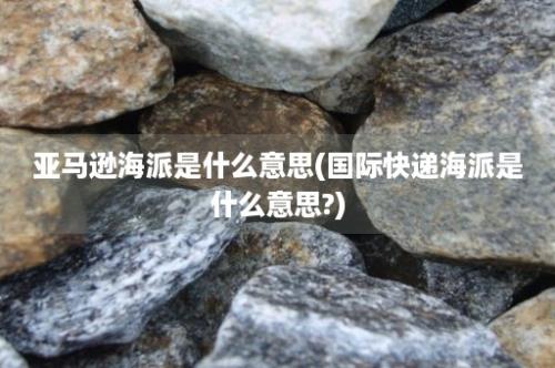 亚马逊海派是什么意思(国际快递海派是什么意思?)