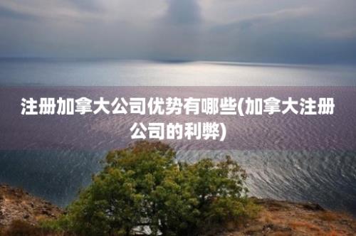 注册加拿大公司优势有哪些(加拿大注册公司的利弊)