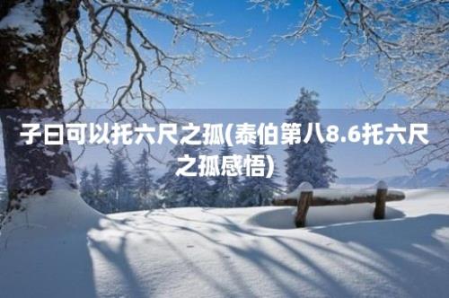 子曰可以托六尺之孤(泰伯第八8.6托六尺之孤感悟)