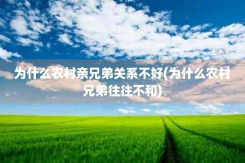 为什么农村亲兄弟关系不好(为什么农村兄弟往往不和)