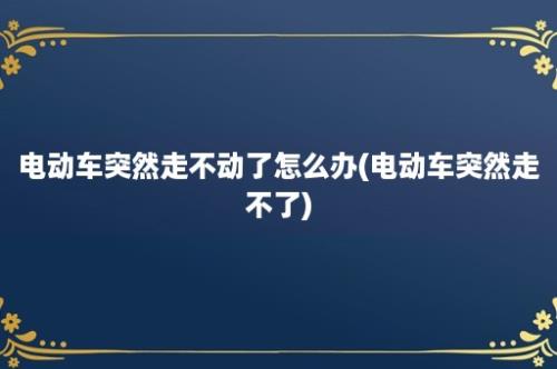 电动车突然走不动了怎么办(电动车突然走不了)