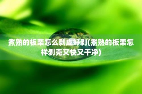 煮熟的板栗怎么剥皮好剥(煮熟的板栗怎样剥壳又快又干净)