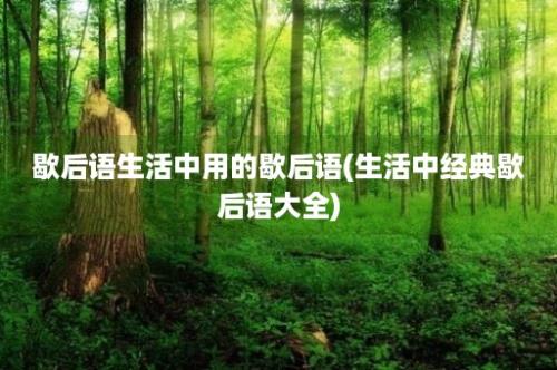 歇后语生活中用的歇后语(生活中经典歇后语大全)