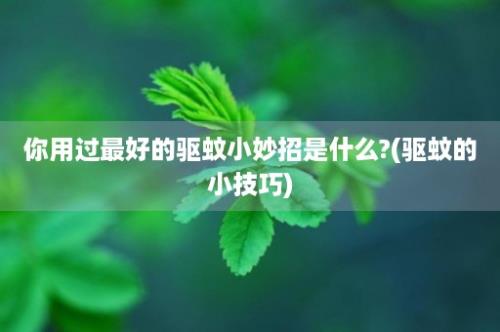 你用过最好的驱蚊小妙招是什么?(驱蚊的小技巧)