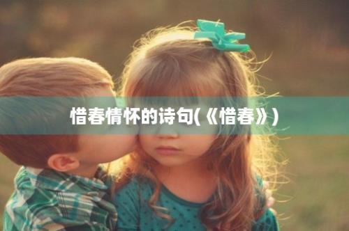 惜春情怀的诗句(《惜春》)