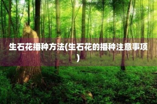 生石花播种方法(生石花的播种注意事项)